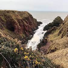 Repost From Scotlandexplorer Arbroath Cliffs Skotija Scotlandexplorer Scotland Keliones Trip Tour Hiking