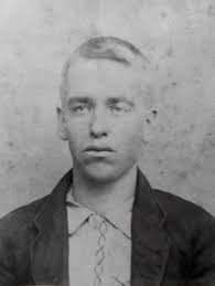 Between 1880 and 1882, Johnson...