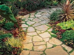 How To Kill And Prevent Sidewalk And Patio Moss
