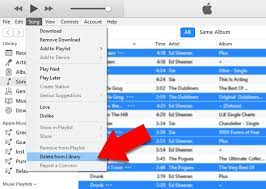 Launch itunes and navigate to preferences>advanced. Solved How To Delete Duplicates In Itunes 2 Best Ways
