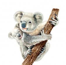 Watercolor Koala And Baby Hang On Branch Koala Drawing Nursery Animal Prints Animal Art