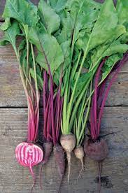 From purple potatoes and carrots, to trusty red cabbage and blueberries, this list of purple fruits and vegetables boasts plenty of. Root Vegetables Scotch Hill Farm And Innisfree Farm Stay