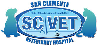 Our staff prides itself on making patient care and customer service our top priorities. Dr John Agostini San Clemente Veterinary Hospital