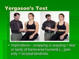 Image result for Yergason Test