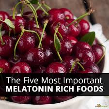The Five Most Important Melatonin Rich Foods