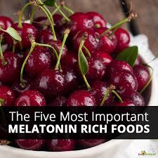 the five most important melatonin rich foods