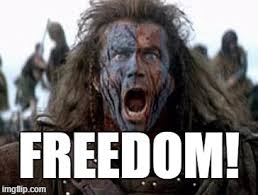 Search, discover and share your favorite freedom braveheart gifs. Freedom Imgflip