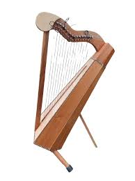 Image result for Harpachne