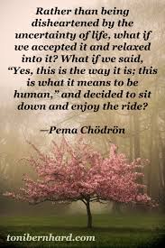 Pin On Heal Your Life