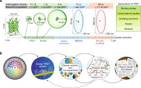 نتیجه جستجوی لغت [fret] در گوگل