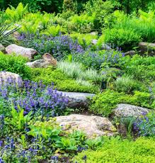 We did not find results for: Amenagement D Une Butte Dans Le Jardin Jardiner Malin
