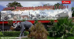 Berbagai fasilitas seperti bus safari, kereta mini koleksi binatangnya juga hampir sama dengan taman safari di jakarta. 15 Koleksi Cemerlang Gambar Hewan Di Kebun Binatang