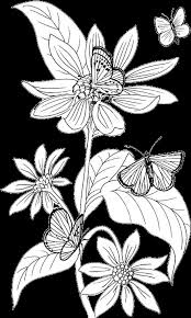 Find more coloring pages online for kids and adults of hello kitty flowers and butterfly coloring pages to print. Butterfly Coloring Pages 17 Purple Kitty