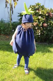 Baby Blueberry Costume Blueberry Costume Kid S Costume Child S Halloween Costume Infant Halloween Costume Baby Halloween Costume Baby Halloween Costumes Kids Costumes Baby Costumes