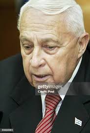 162 Benjamin Gil Photos & High Res Pictures