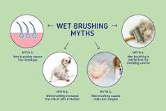 Should You Brush Your Dog When Wet or Dry? – Doglyway