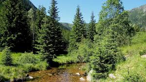 'sehenswürdigkeiten im riesengebirge' wurde auf 8 seiten gefunden ﻿ E Ferienhauser Eu Riesengebirge Sehenswurdigkeiten Ausflugstipps