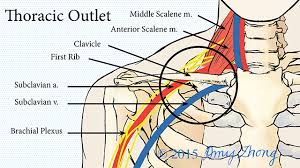 The direction of the air stream released from the lungs. Thoracic Outlet Syndrome Johns Hopkins Medicine