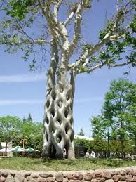 We did not find results for: What Is The Most Beautiful Tree In The Physical Or Fictional World Quora