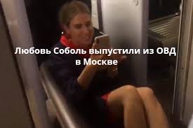 В 2014—2015 годах принимал участие в пародийном шоу «супергерои» на телеканале «пятница». Lyubov Sobol Vypustili Iz Ovd V Moskve Nakanune Ee Vynesli Iz Mosgorizbirkoma Na Divane I Zaderzhali Bumaga