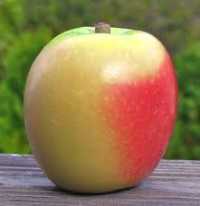 If you love the rosy skin of pink lady apples, you'll really be drawn to the pacific rose apple. Adam S Apples Hidden Rose Airlie Red Flesh