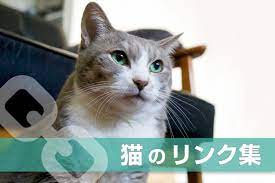 猫に安全な観葉植物 モアクリ 猫 猫 草 観葉植物