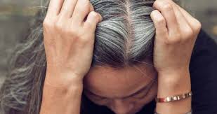 Ayurvedic hair oils also comprise instant hair styling products that are safe to use. 9 Best Homemade Hair Oils For Gray Hair Treatment