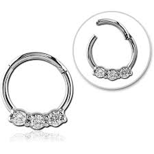 segmentring clicker aus chirurgenstahl mit glitzerstein der septum ring lasst sich durch das aufklappen des septum jewelry body jewellery crystal jewelry diy