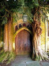 The perfect windows and doors can lift a space from ordinary, to extraordinary. Pin On Favorite Places Spaces