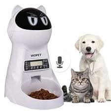 13 Best Automatic Pet Feeder Images In 2019 Pet Feeder