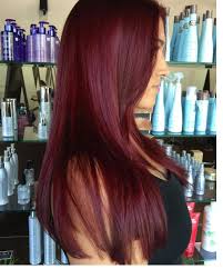 Deep Red Violet Hair Color Photo 10 Hair Colors Idea In 2019 Shades Of Red Hair 40 Red Hair Color Ideas Wine Hair Auburn Red Hair Color Shades Of Red Hair