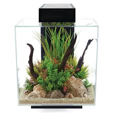 Fluval Edge 2 0 Black Aquarium Kit 12 Gallon Petco Planted Aquarium Aquarium Kit Aquarium Design