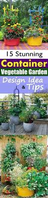 House And Garden Nutrients Inspirational Unique House And