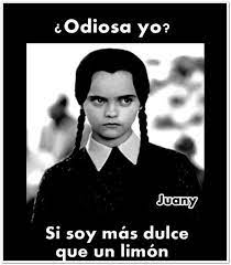 Pin De Denia Chavez En Merlina Addams Frases Divertidas Humor Whatsapp Imagenes De Memes Graciosos