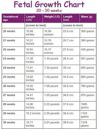 Baby Growth Chart By Weeks Kozen Jasonkellyphoto Co
