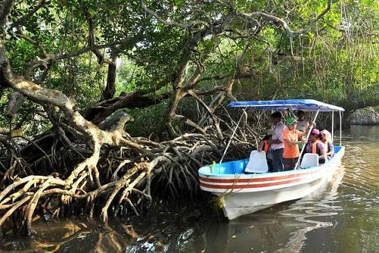 Mandinga And Boat Trip Tour (with Reviews)