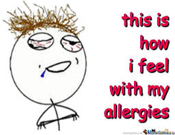 Image result for funny pictures of allergies