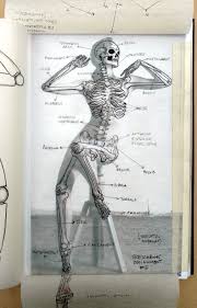 This diagram depicts heart diagram with parts and labels. Human Body Muscle Drawing Reference Novocom Top