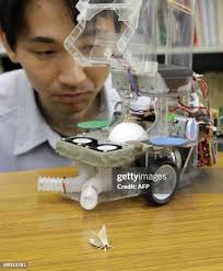 365 Moth Balls Stock Photos, High-Res Pictures, and Images