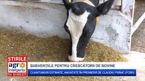 Cele mai multe cereri unice de plată au fost depuse în judeţele. SubvenÈ›ii Apia 2017 Cuantumuri Estimate Bovine Youtube