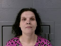 WVSP: 40-year-old French Creek woman arrested in connection with 3-county  theft investigation