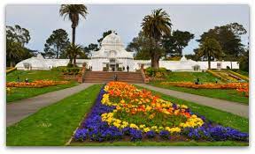 Sf conservatory of flowers free day. San Francisco Conservatory Of Flowers Tips To Visit Pics