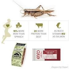 Crickets Png 550 550 Insekten Projekte