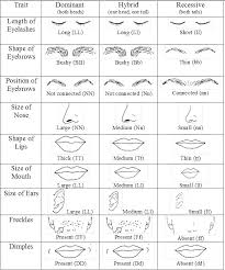 Eye Color Genetics Chart Bestlink