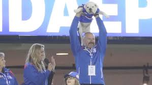 British bulldog mascot sid of the footscray western bulldogs australian football club. Afl Confidential Western Bulldogs Mascot Circle Of Life As Caesar Replaces Sid John Worsfold S Water Bottle
