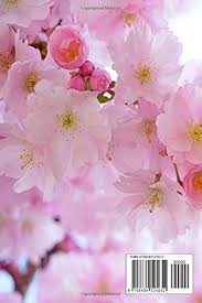 One Day at a Time: Inspiration, Gratitude and Growth : Tanner, Jerri:  Amazon.ca: Books