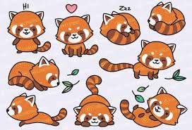 Premium Vektor Clipart Kawaii Rote Pandas Susse Rote Panda Clipart Set Hochwertige Vektoren Instant Download Kawaii Clipart Kawaii Clipart Red Panda Cute Panda Drawing