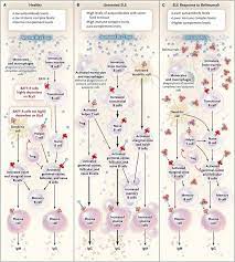 Page Not Found Main In 2021 Hematology Immunology Pharmacology