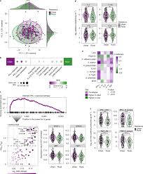 News, email and search are just the beginning. Urban Living In Healthy Tanzanians Is Associated With An Inflammatory Status Driven By Dietary And Metabolic Changes Nature Immunology