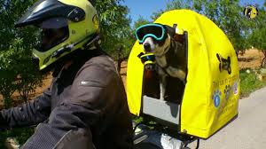 Ranking at the top of our list, we have this motorcycle pet carrier from leading brand outdoor hound. Pillion Pooch